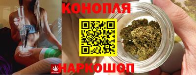 гидропоника Кунгур